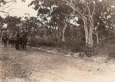 World War 1, Australia,