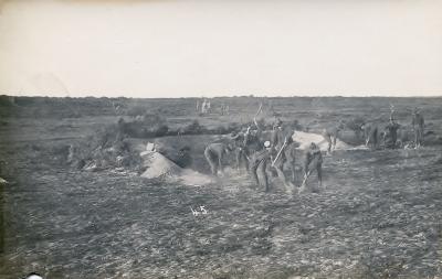 Pre 1914, Australia Western Australia, 1912