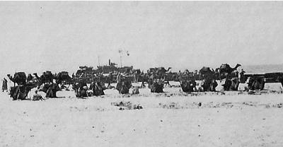 World War 1, Middle East, 10 Australian Light Horse, 1918