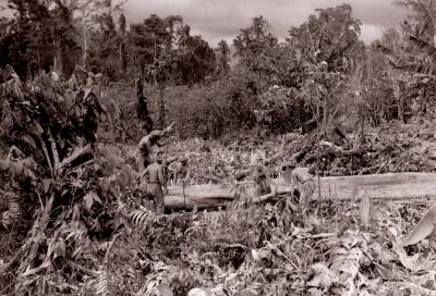 World War 2, Papua New Guinea, 2/1 Australian General Hospital, 1945