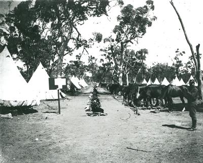 World War 2, Australia Western Australia, 10 Australian Light Horse, 1940