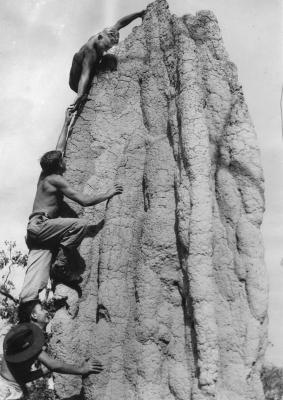 World War 2, Australia Northern Territory, 28 Battalion, 1944