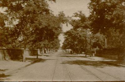 World War 1, Middle East Egypt Cairo, 3 Australian General Hospital, 1916