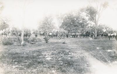 Pre 1914, Australia, Western Australia, Australian Field Artillery, 1912