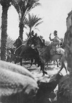 World War 1, Middle East, Stewart, 10 Australian Light Horse, 1918