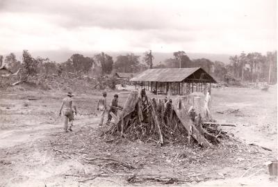 World War 2, Papua New Guinea Bougainville, 2/1 Australian General Hospital, 1945