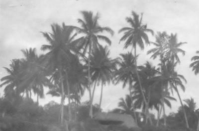World War 2, Papua New Guinea, 1942