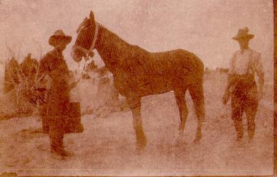 World War 1, Middle East, 10 Australian Light Horse, 1918