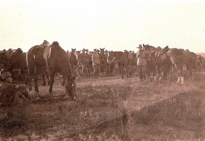 World War 1, Australia,