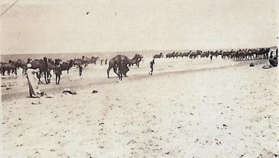 World War 1, Middle East, 10 Australian Light Horse, 1917