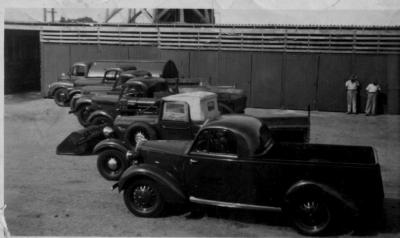 COUNCIL TRUCKS AT DEPOT