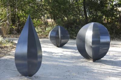 5 Seed Pod Forms