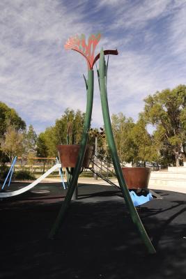 Kangaroo Paw (1 of 2)
