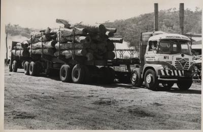 SEMI TRAILERS; LOADED WITH LOGS