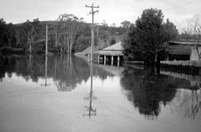 1964 Floods. Forrest Street