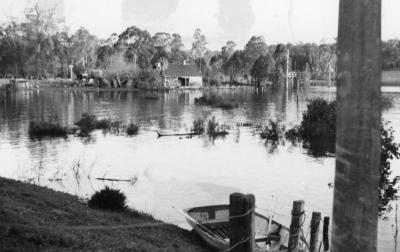 1964 Floods Nannup & Carlotta Brooks