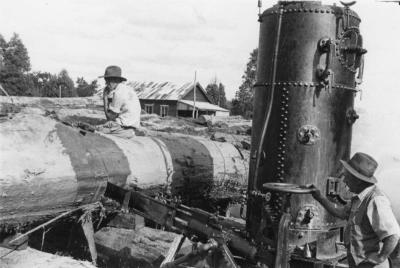 Steam driven crosscut saw Nannup Mill