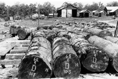 Logs at Nannup Mill