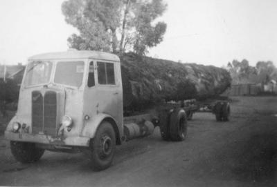 Log truck - Driver Mr. Reg Gadene