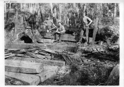 Men in bush Nannup 1914
