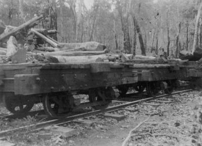 North Carlotta - Log trucks transporting timber