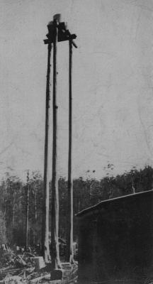 Fern Tree Gully (Vic). Tank erected on top of trees 150' high. (Mountain Ash Trees) Jack Corbett