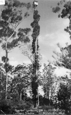 Pemberton Lookout