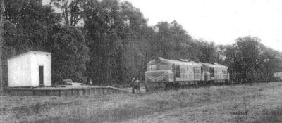 23/05/1984 XB1018 & XA1415 bring a small train of empty timber wagons into the terminus