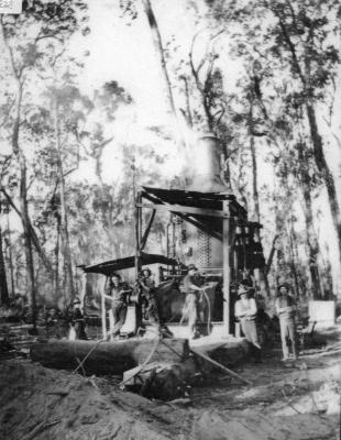 Hauler at a Nannup bush camp - Barlee Brook