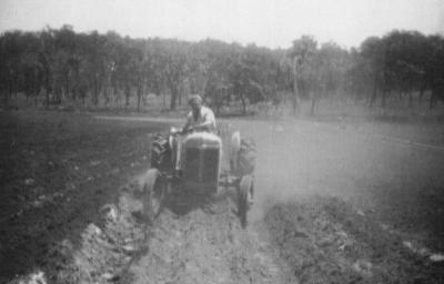 Growing Potatoes on Dean's Flats