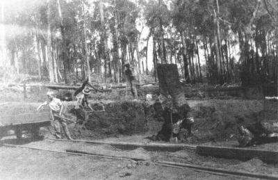 Clearing on Sobotts farm