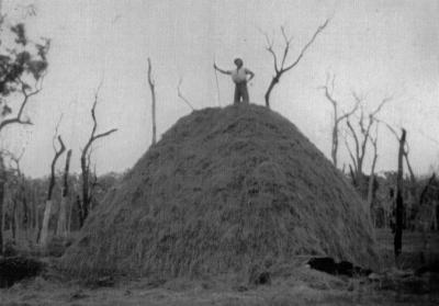 Hay Stack - Aiden Buckley C.1950