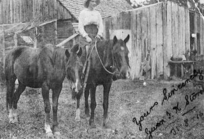 Gwen Storrie with horses (sister to Don Storrie). 31/08/1916