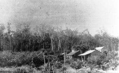 St. John's Brook Farm Jarrahwood C.1911