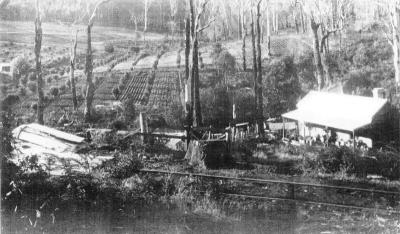 Harbeck farm East Nannup