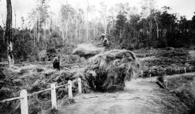 Sobotts farm "Pondulla" carting hay