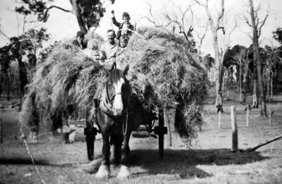 Carting Hay - Front of Cole's house Carlotta