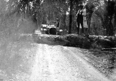 Fallen Tree on Nannup Cundinup Road during bushfire