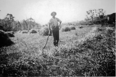 Jack McKittrick Snr. - Stooks in Maise Crop background C.1920's