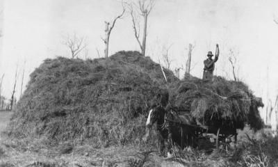 Haymaking - Mowdays Farm "Glenkarri" East Nannup