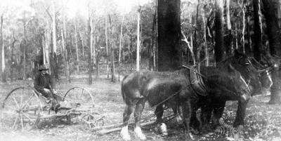 "Glenkarri" Horses & Rake