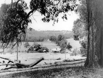 "Linden" Lindsays farm East Nannup