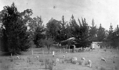 Royston Farm - Artur Bower & Family