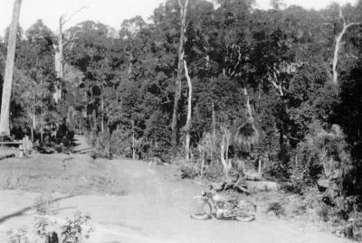 Pearsons turn off - looking South East Nannup. September 1935