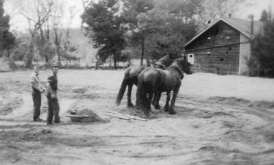 Bob Carroll & Peter Pedretti operating horse drawn scoop for Cundinup Tennis Courts