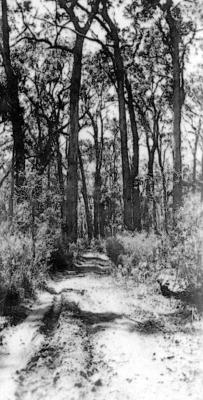 C.1930-33 Nannup Bridgetown Road (1)