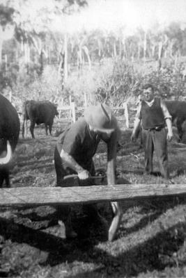 Yards at Scott's farm Donnelly River.