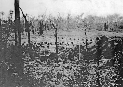 Harbecks Farm - East Nannup