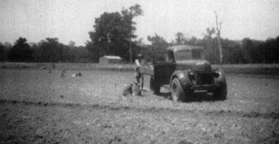 Growing Potatoes on Dean's Flats
