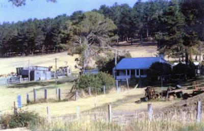 Nannup Farmhouse (Hillman's) & Slaughterhouse Balingup Road.  Later Sam & Sylvia Della's residence.